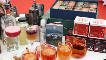 Tea Masters Cup Vietnam 2026: Những điều đang được chờ đợi