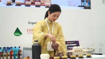 Tea Masters Cup Vietnam 2026: Vòng loại Pha trà thử thách bản lĩnh Tea Master
