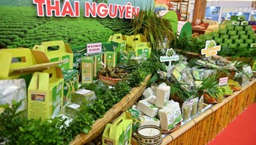 Trà Việt tỏa sáng tại Hội chợ Mùa Thu – Từ di sản đến biểu tượng hội nhập