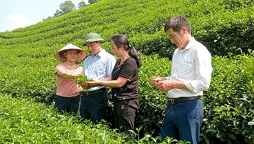 Phú Thọ trong quỹ đạo tăng trưởng bền vững - Phát triển kinh tế xanh, kiến tạo tương lai mới