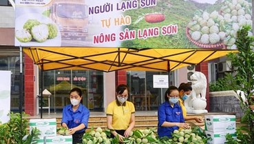 Nông sản Việt trên sàn thương mại điện tử: Sự chuyển mình và tiềm năng phát triển