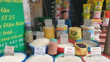 Giá gạo Việt chịu áp lực giảm khi thị trường Philippines tạm dừng nhập khẩu 