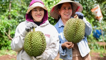 Rau quả Việt lội ngược dòng tại Trung Quốc, lập kỷ lục gần 5 tỷ USD