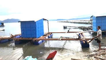 Sông Cầu (Đắk Lắk): Từng bước khôi phục vùng nuôi tôm hùm