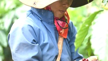 Không gian kiến tạo và nâng tầm vị thế cà phê Việt Nam trên thị trường quốc tế