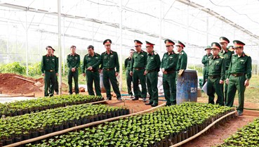 Đoàn Kinh tế - Quốc phòng Quảng Sơn: Giữ đất, giữ rừng, tạo sinh kế, củng cố “thế trận lòng dân”