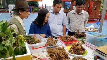 Đà Nẵng hướng tới nền trồng trọt phát thải thấp