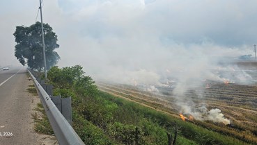 Chung tay nói không với đốt rơm rạ sau thu hoạch