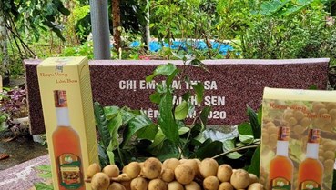 Quảng Nam: Phát triển thương hiệu đặc sản Rượu vang hữu cơ Lòn bon xứ Tiên