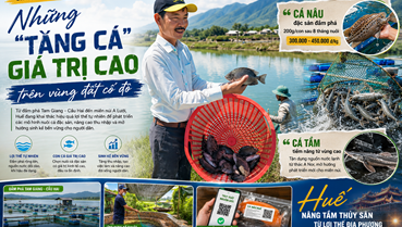Những “tầng cá” giá trị cao mở hướng sinh kế mới trên vùng đất cố đô