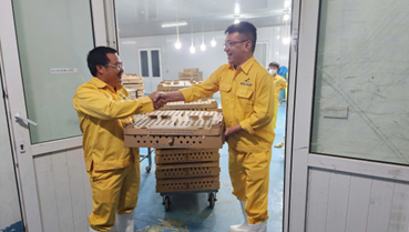 Giá trứng tăng mạnh, Hòa Phát vẫn lãi lớn