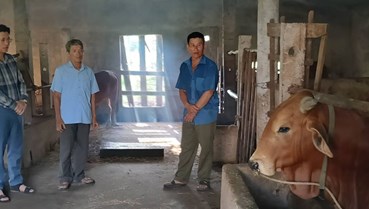Mô hình kinh tế tổng hợp trên vùng đất cát Trung Thuần