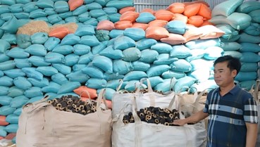 Nông dân Huế làm giàu từ vỏ trấu, góp phần phát triển kinh tế xanh và bền vững
