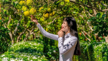 Thanh trà Thủy Biều chuyển hướng nâng chất lượng, tăng giá trị