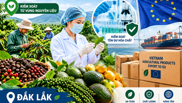 Đắk Lắk kiểm soát an toàn thực phẩm nông sản xuất khẩu sang EU