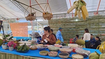 Nông dân Krông Bông vươn lên làm chủ cuộc sống mới