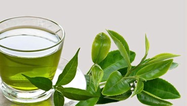 Chè xanh: Vị thanh khiết của sức khỏe và sự an yên