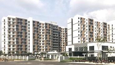 Hoiana: Lan tỏa giá trị nhân văn giữa thử thách thiên tai