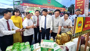 Chính sách hỗ trợ sản phẩm OCOP: Bước đi thúc đẩy kinh tế nông thôn đô thị tại Đà Nẵng