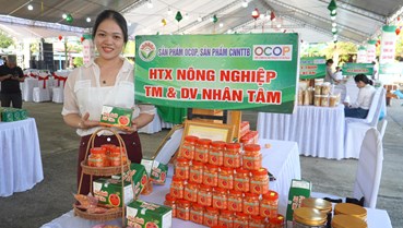 Đánh thức giá trị miền núi Đà Nẵng