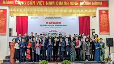 Trà Shan tuyết Suối Giàng: Di sản xanh giữa ngàn mây, hướng tới thương hiệu quốc gia