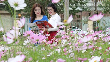 Thành Vinh, Nghệ An rực rỡ sắc xuân, bừng sáng từng góc phố