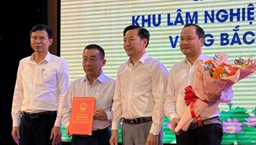 Nghệ An công bố Quy hoạch Khu lâm nghiệp công nghệ cao vùng Bắc Trung Bộ đến năm 2045