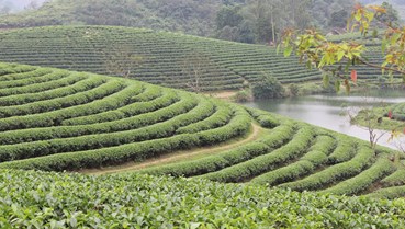 Nghệ An: Chất lượng, an toàn làm nên thương hiệu sản phẩm