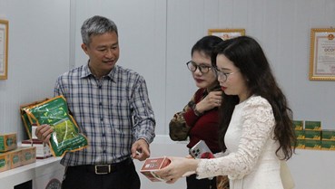 Từ đam mê đất rừng đến mô hình nông nghiệp xanh nơi “núi cao thuốc quý”
