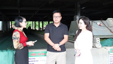 Mía đường Sông Lam bứt phá nhờ chuyển hướng phát triển cây chè chủ lực