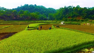 Đà Bắc tạo đà tăng trưởng, phát huy nội lực phát triển kinh tế - xã hội