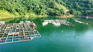 Phường Thống Nhất: Khát vọng bứt phá, phát triển toàn diện trong nhiệm kỳ mới