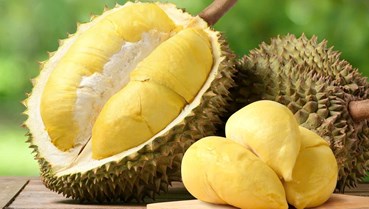 Công ty Trái Cây Tài 001: Kiến tạo chuỗi sầu riêng bền vững, lan tỏa giá trị cộng đồng