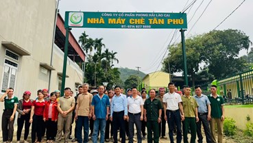 Nâng tầm chè Việt từ gốc: Tập huấn kỹ thuật tại Phong Hải mở lối phát triển bền vững