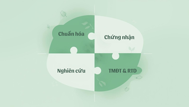 Trà thảo mộc Việt – Hộ chiếu xanh trên bản đồ thị trường quốc tế