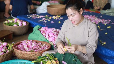 Theo chân nghệ nhân vào mùa ướp trà sen Tây Hồ