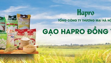 Gạo Hapro Đồng Tháp – nâng tầm hạt Ngọc Việt