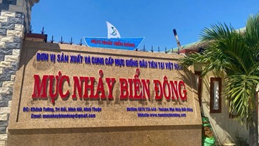 Nuôi mực,không dễ " ngon ăn "