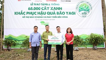 SeABank và Tập đoàn BRG chung tay trồng 68.000 cây phủ xanh gần 20ha rừng tại Lào Cai