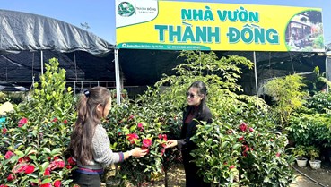 Hà Tĩnh: Nhộn nhịp chợ hoa xuân " đón sóng "sớm