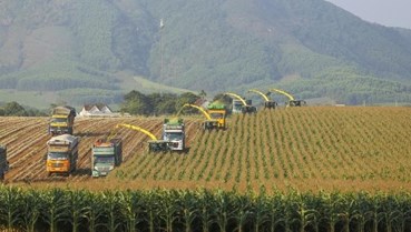 Nghệ An: Thu hút đầu tư vào các dự án nông nghiệp