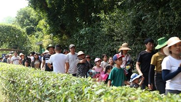 Nghệ An, Hà Tĩnh hút khách du lịch trong 5 ngày nghỉ lễ