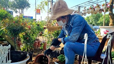 Nghệ An: Làng nghề trồng hoa được đầu tư chợ hoa lớn nhất vùng