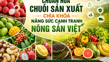 Chuẩn hóa chuỗi sản xuất - Chìa khóa nâng sức cạnh tranh nông sản Việt