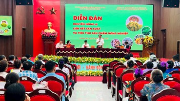 Hà Nội: Chương Mỹ tháo gỡ khó khăn trong tiêu thụ nông sản an toàn