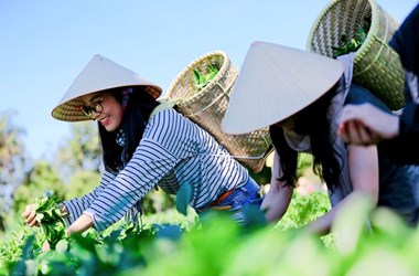 Giúp nông sản Việt chinh phục người tiêu dùng