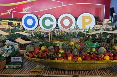 Nâng sức cạnh tranh cho sản phẩm OCOP trên thị trường