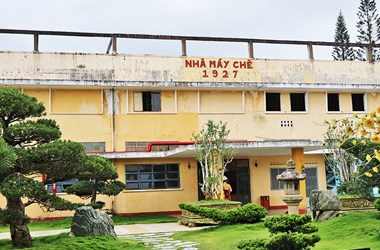 Sức sống trăm năm của Bảo tàng Chè cổ 1927