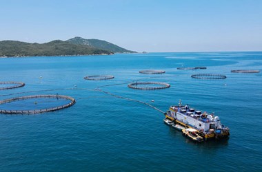 Hoàn thiện khung pháp lý cho kinh tế biển: Mở đường cho nuôi trồng thủy sản quy mô lớn