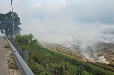 Chung tay nói không với đốt rơm rạ sau thu hoạch